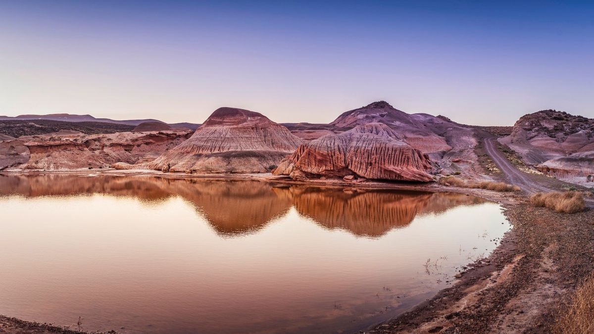 El &Aacute;rea Natural Protegida Rocas Coloradas resguarda f&oacute;siles y formaciones del paleoceno, incluyendo un bosque petrificado que evidencia el pasado selv&aacute;tico de la actual estepa.