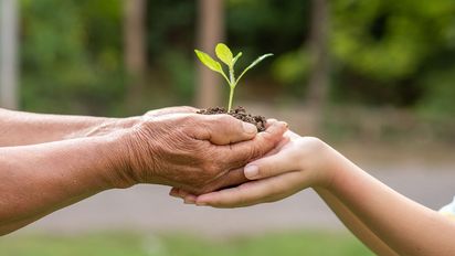 El ambiente es parte de la agenda de la Reforma de la Constitución de Santa Fe: los derechos que no pueden quedar afuera