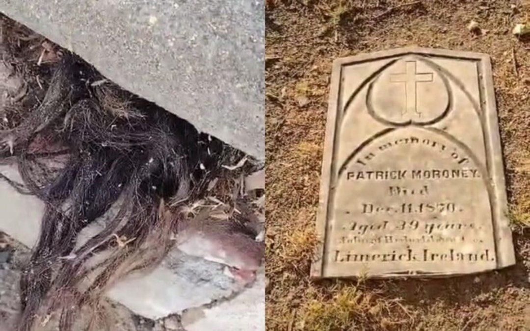 El curioso dato es que la tumba tiene más de 100 años.&nbsp;