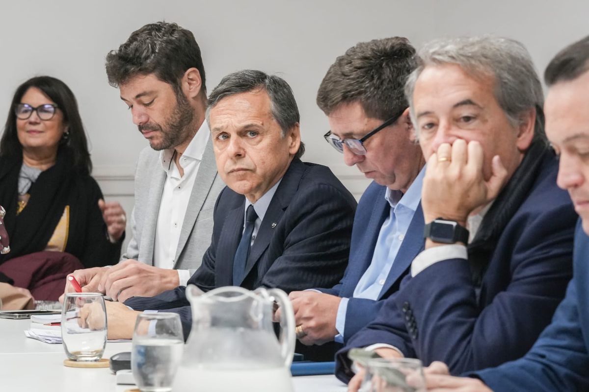 La comisión redactora tendrá la tarea de recibir los despachos de las demás comisiones y redactar el texto final de la reforma, ajustando la redacción técnica sin modificar el fondo.