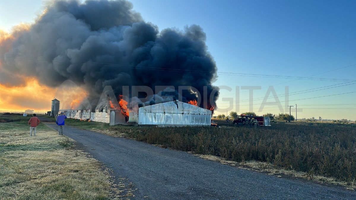 Destrucción total en un deposito de pollos en Gálvez.&nbsp;