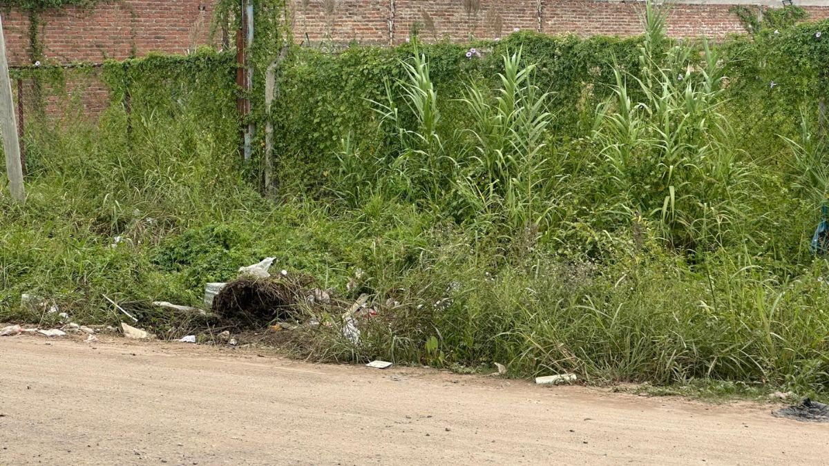 Uno de los ejes centrales del reclamo apunta al estado de abandono de los espacios comunes. Uno de los ejes centrales del reclamo apunta al estado de abandono de los espacios comunes.