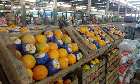 Paracombatir el aumento del precio de los alimentos el Gobierno decidió otorgarleun nuevo rol al Mercado Central, que será habilitado en el Registro deImportaciones. Paracombatir el aumento del precio de los alimentos el Gobierno decidió otorgarleun nuevo rol al Mercado Central, que será habilitado en el Registro deImportaciones.