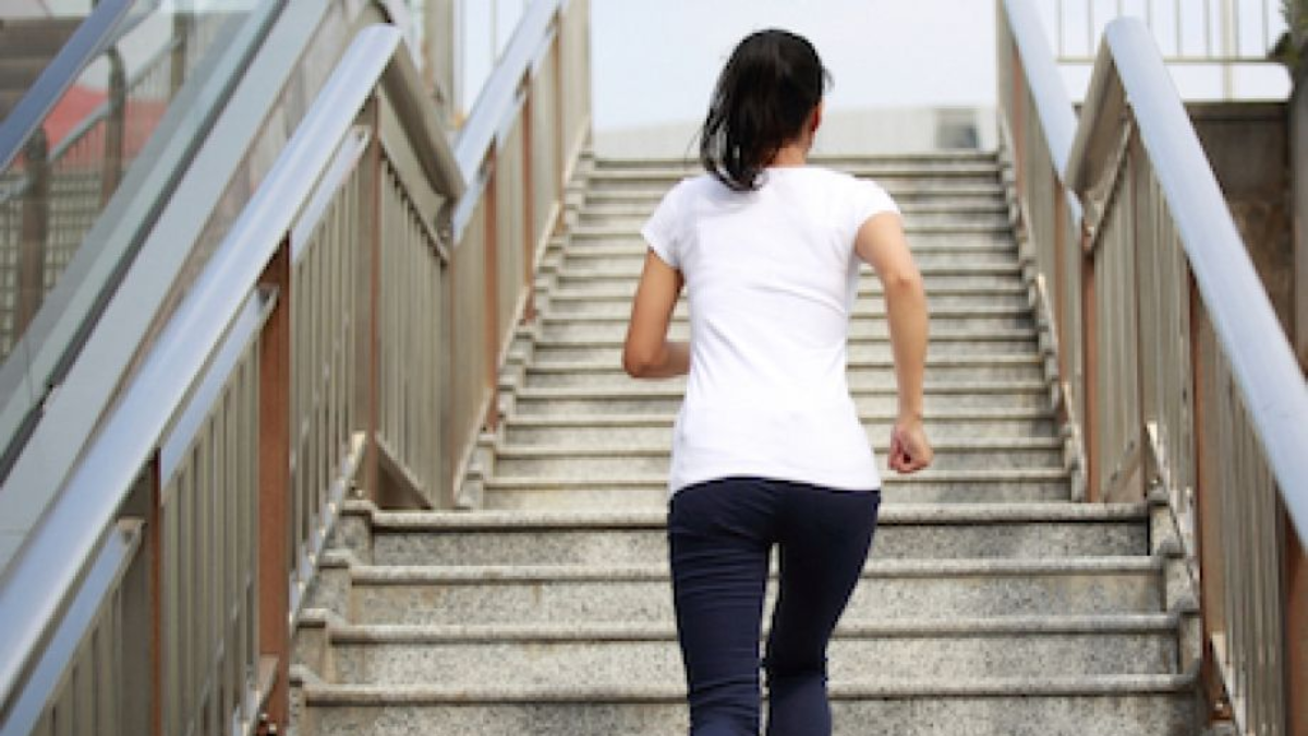Simula el acto de subir escaleras para una salud óptima y una vida más larga. Simula el acto de subir escaleras para una salud óptima y una vida más larga.