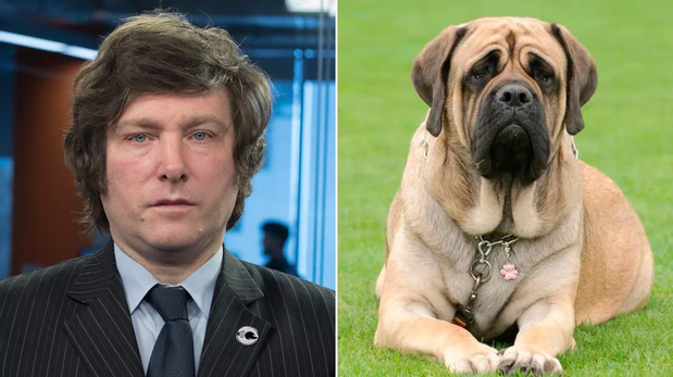 Un grupo de estudiantes secuestró a Conan, el perro de Javier Milei: el mensaje al presidente