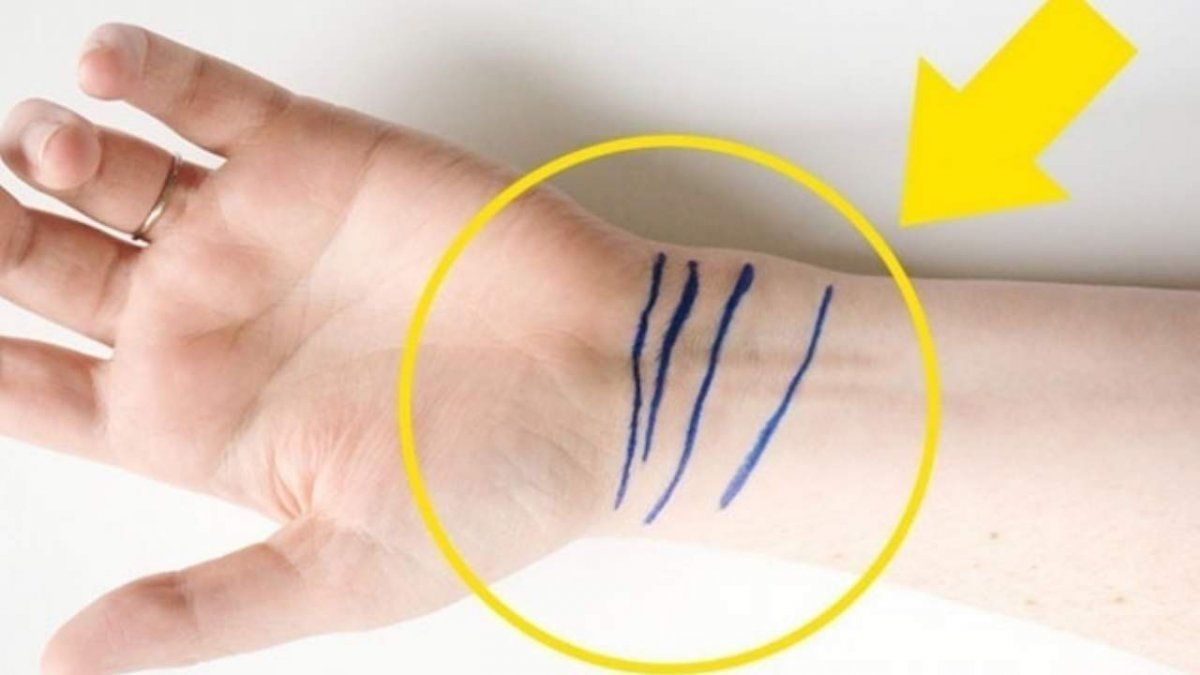 ¿Qué significan estas 4 líneas que puedes tener en la muñeca?