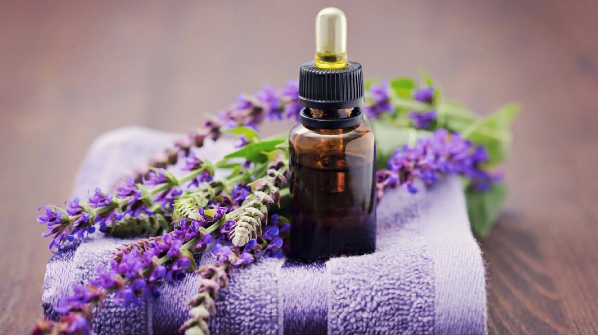 El aceite de Salvia es un poderoso relajante muscular, de uso externo e interno.