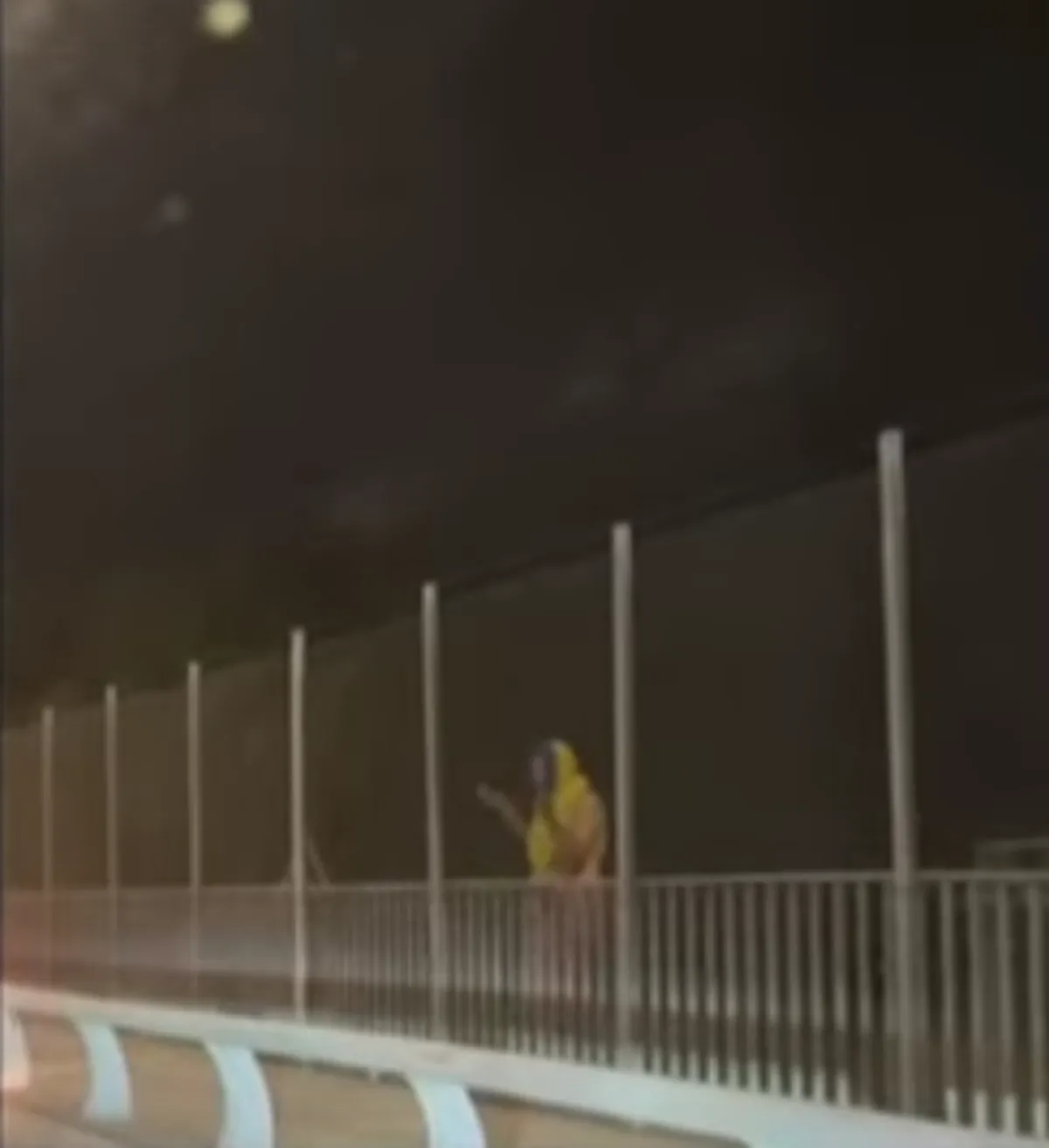 Zaira Nara le salvó la vida a un hombre que quiso saltar de un puente