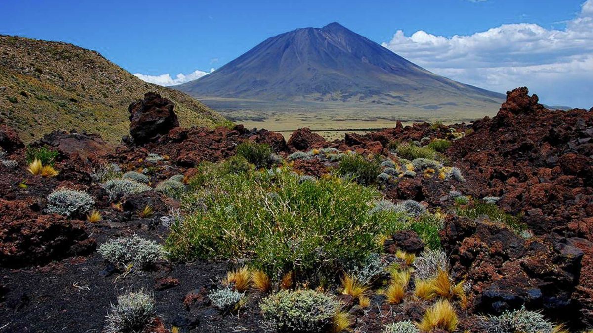 La Payunia reúne más de 800 volcanes y es una de las regiones con mayor densidad volcánica del mundo. La Payunia reúne más de 800 volcanes y es una de las regiones con mayor densidad volcánica del mundo.