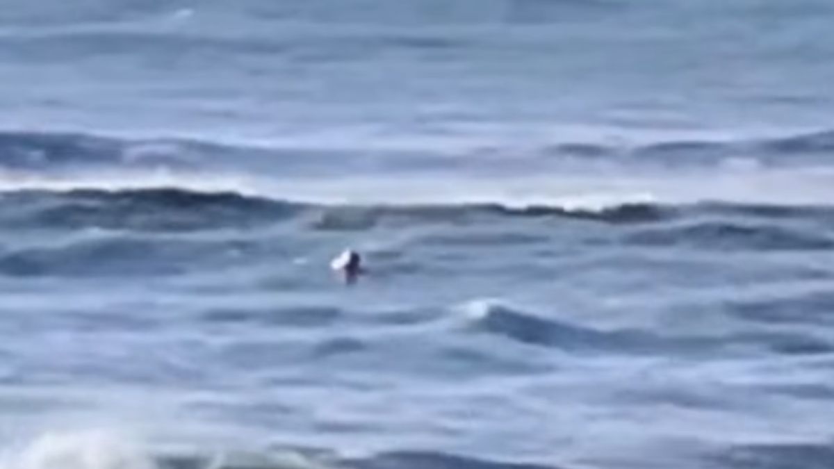 Denunciaron a un guardavidas en Villa Gesell por no auxiliar a un kayakista y grabar la escena: Que aprenda