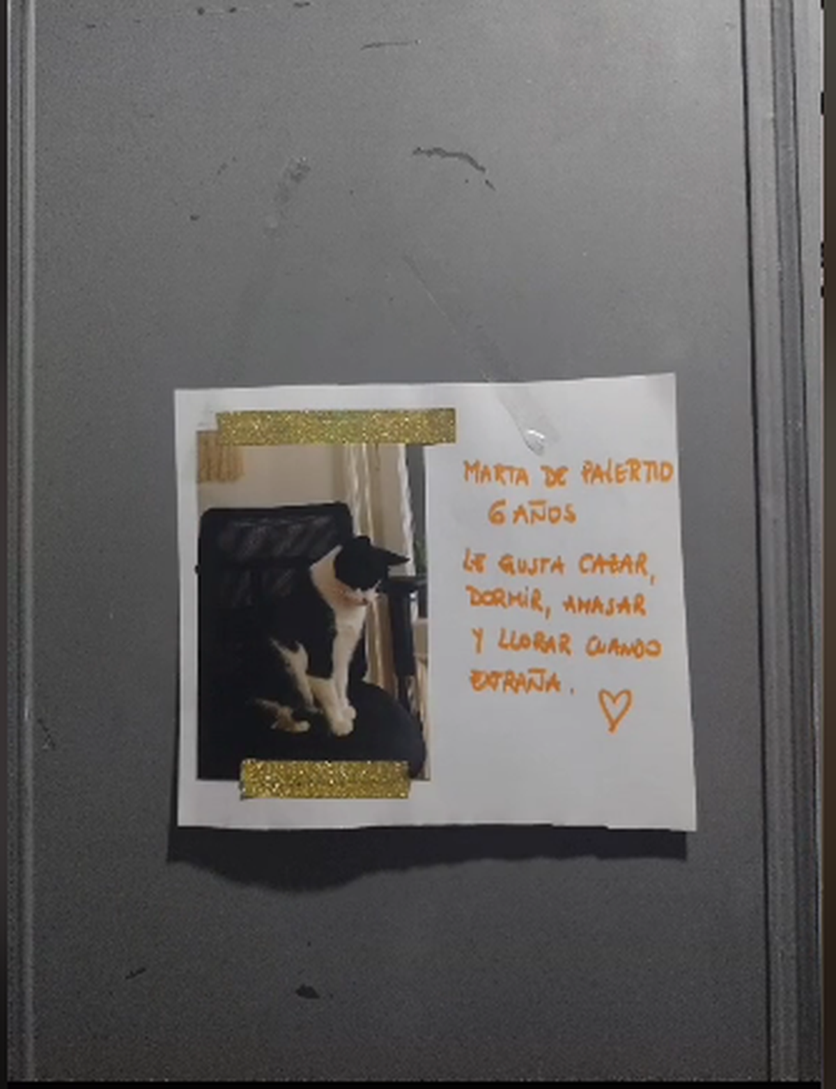 Se comunicaban a través de carteles en el ascensor.