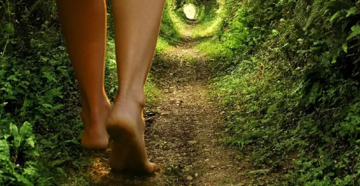 Qué es el Earthing y cómo conectar el deporte con la naturaleza