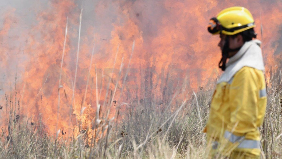 La sequía y los incendios en Corrientes ocasionaron una pérdida superior al 50% en la Apicultura