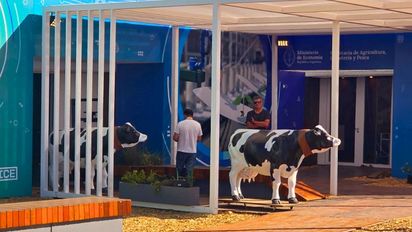 ¿Una nueva oportunidad para la lechería argentina? El regreso que puede cambiarlo todo