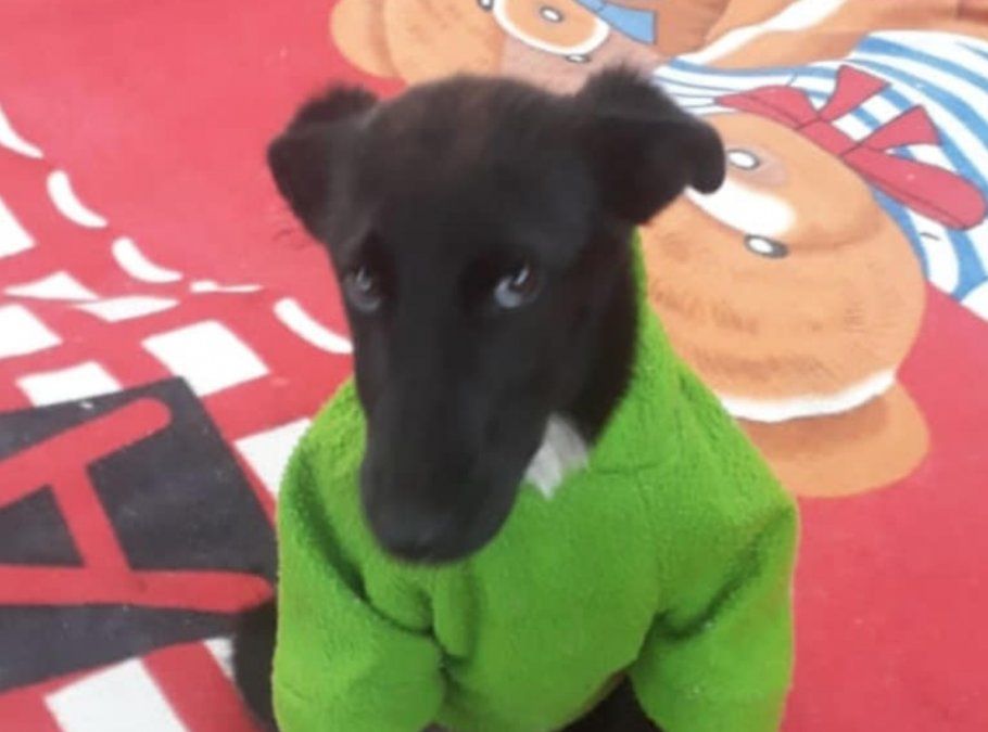 La historia de Tabata que se volvi&oacute; viral.