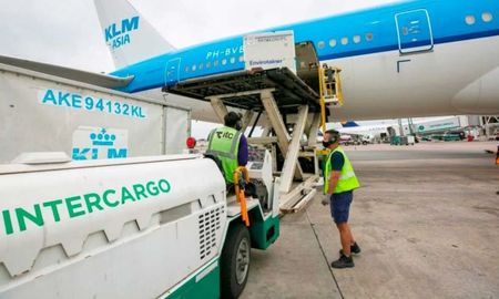 El ministro de Economía, Luis Caputo, confirmó este jueves que 15 empleados de Intercargo fueron despedidos por la medida gremial que activaron de manera intempestiva y que provocó un veradero caos ayer en el Aeroparque Jorge Newbery. El ministro de Economía, Luis Caputo, confirmó este jueves que 15 empleados de Intercargo fueron despedidos por la medida gremial que activaron de manera intempestiva y que provocó un veradero caos ayer en el Aeroparque Jorge Newbery.