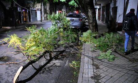 Vientos del domingo: los reclamos a la municipalidad totalizaron 35 hasta las 22. Vientos del domingo: los reclamos a la municipalidad totalizaron 35 hasta las 22.