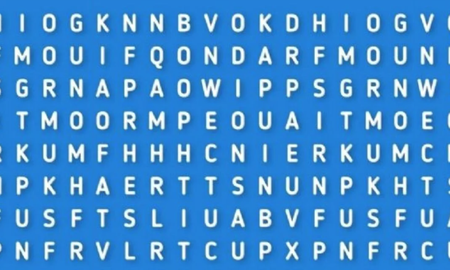 RETO VISUAL nivel PRO: solo el 3% encontró la palabra ENTUSIASMO en ¡5 segundos! RETO VISUAL nivel PRO: solo el 3% encontró la palabra ENTUSIASMO en ¡5 segundos!