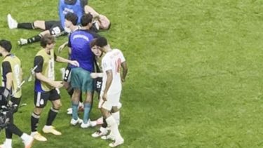 Mientras la Selección argentina celebraba la clasificación a la final del Mundial, el episodio quedó envuelto en incógnitas y alimentó todo tipo de especulaciones entre los usuarios en las redes sociales.