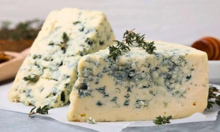 el queso azul de santa fe sera protagonista en todolactea 2025 el queso azul de santa fe sera protagonista en todolactea 2025