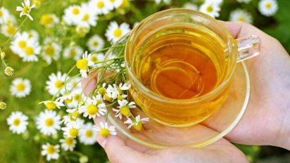 Los beneficios de la manzanilla para nuestro cuerpo