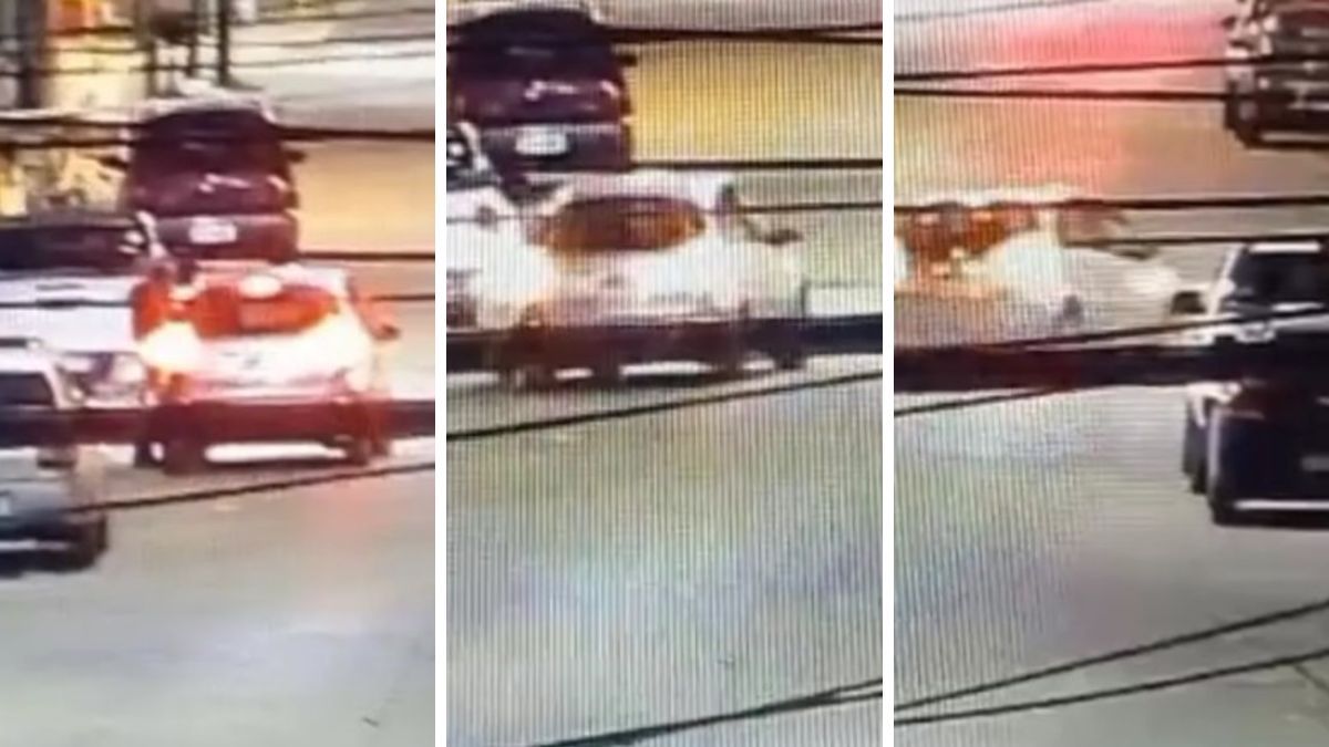 La policía detuvo al hombre tras el violento episodio en la vía pública.