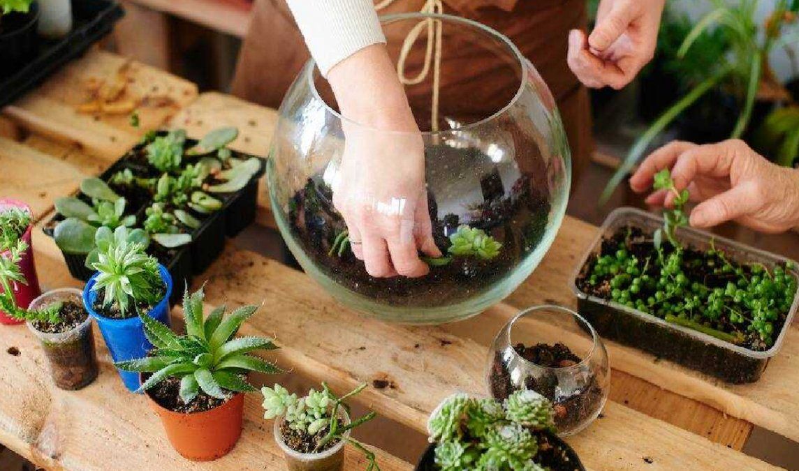 Para hacer un terrario necesitás solo materiales naturales