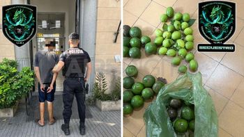 Saltó el tapial de una casa, robó 32 paltas, 25 limones y se lo llevaron preso
