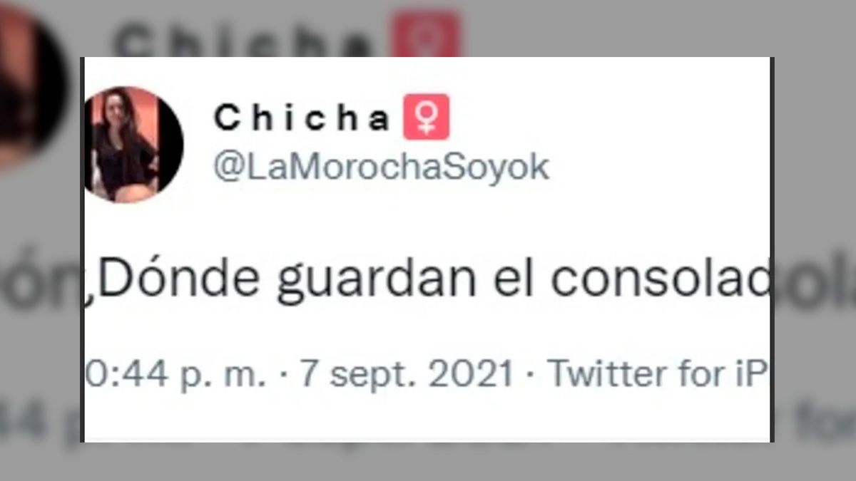 La peculiar pregunta se volvió rápidamente viral y varios internautas decidieron aportar su granito.