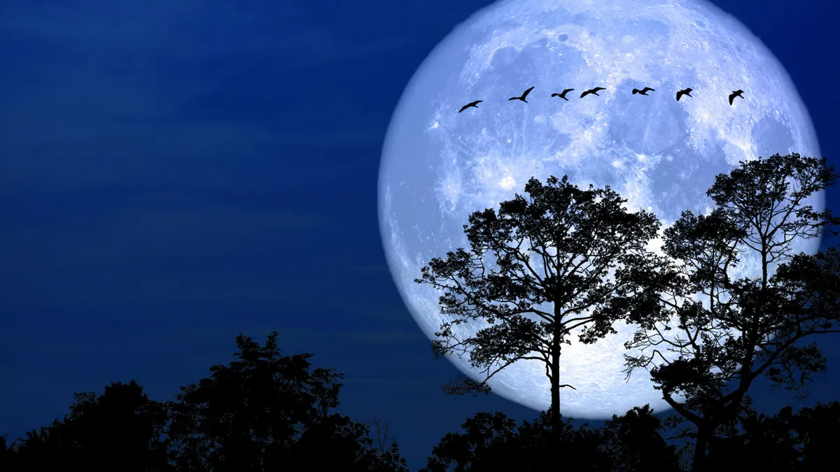 La Luna llena de enero es la primera luna llena del año. La Luna llena de enero es la primera luna llena del año.