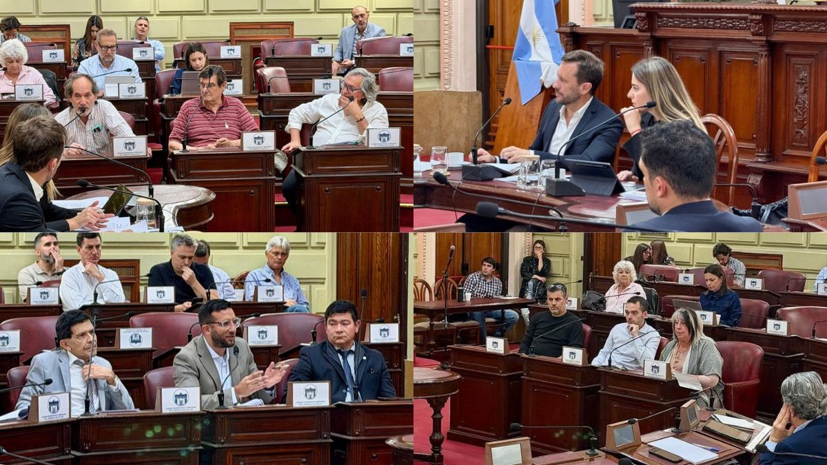 Este miércoles se completó la ronda de exposiciones con representantes de los colegios de abogados de Santa Fe y Rosario, la Asociación de Abogados Penalistas de Rosario, centros de estudios especializados y el Foro contra la Impunidad y por la Justicia de Santa Fe. Este miércoles se completó la ronda de exposiciones con representantes de los colegios de abogados de Santa Fe y Rosario, la Asociación de Abogados Penalistas de Rosario, centros de estudios especializados y el Foro contra la Impunidad y por la Justicia de Santa Fe.