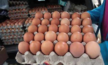 Se consumieron 336 huevos por persona en 2023. Se consumieron 336 huevos por persona en 2023.