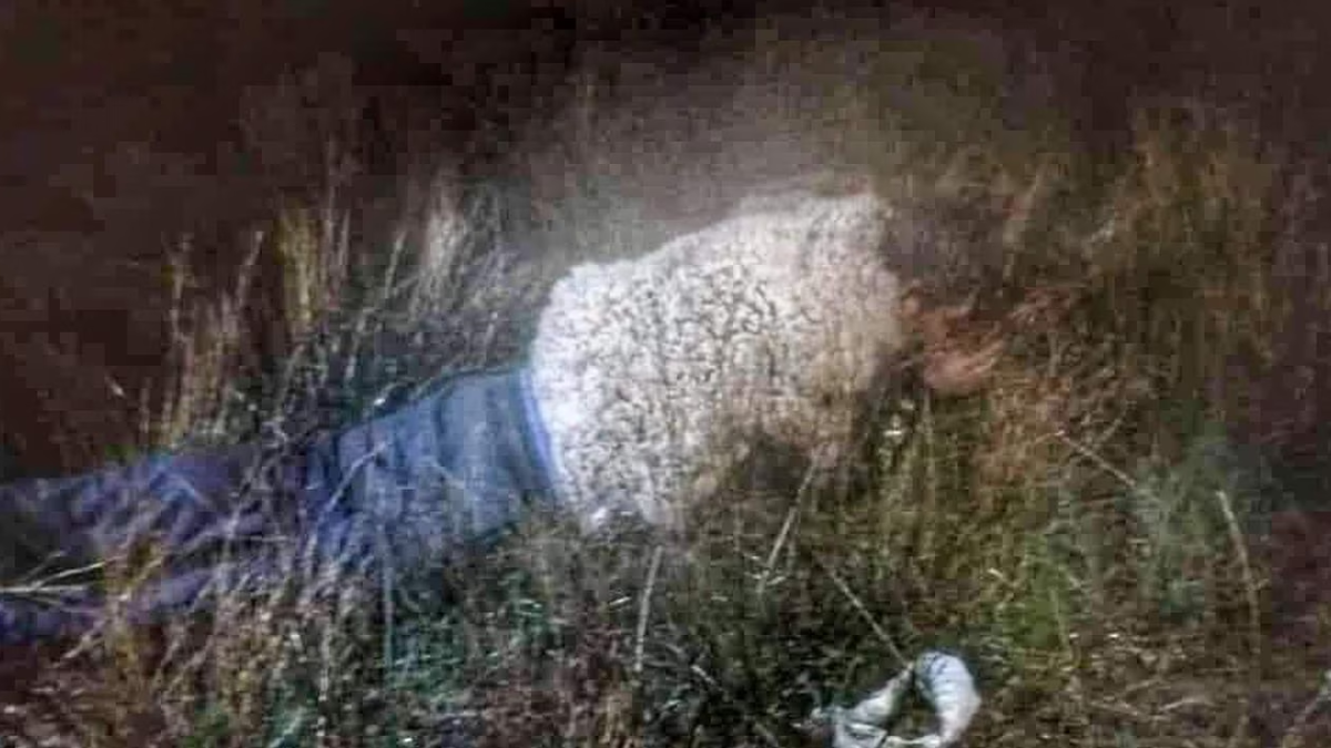 Bolivia: un preso intentó escapar de una cárcel de máxima seguridad disfrazado de oveja