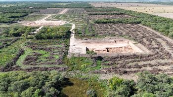 Desmonte ilegal en el norte santafesino: 