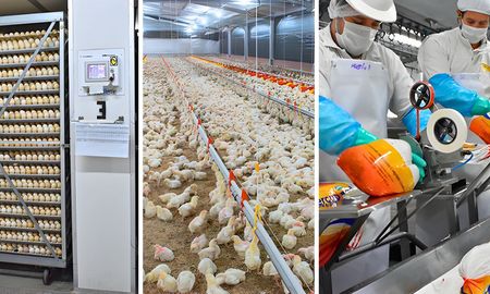 la union agricola de avellaneda renovo autoridades y presenta un estudio ambiental clave