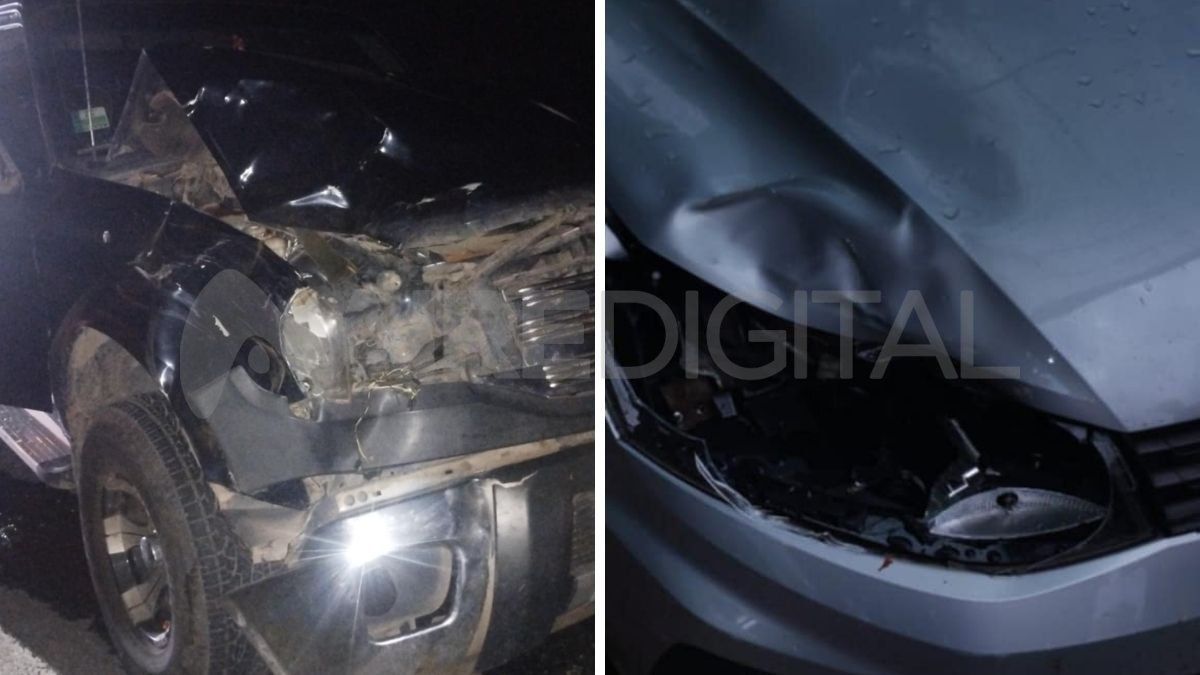 Accidente en Autovía 19: una vaca fue atropellada por dos vehículos.