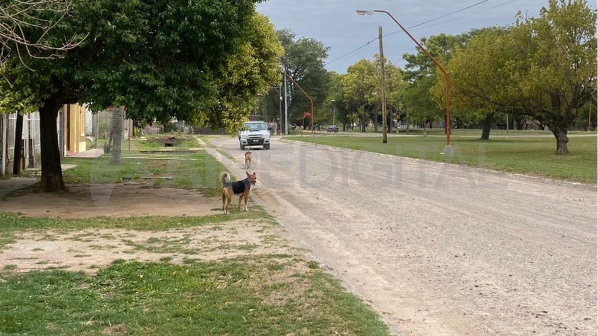 Los hechos delictivos se concentraron sobre una calle, en una distancia de 200 metros, en una zona cercana a las vías del ferrocarril.