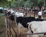Cooperativas tamberas de Santa Fe se unen para ganar competitividad y pedir infraestructura Cooperativas tamberas de Santa Fe se unen para ganar competitividad y pedir infraestructura