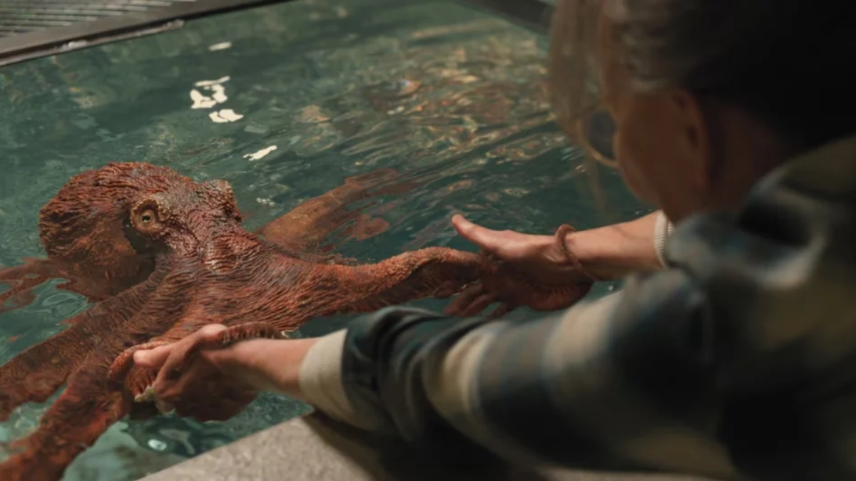 Marcellus, el personaje de Criaturas luminosas, fue modelado a base de un pulpo real en Vancouver. Marcellus, el personaje de Criaturas luminosas, fue modelado a base de un pulpo real en Vancouver.