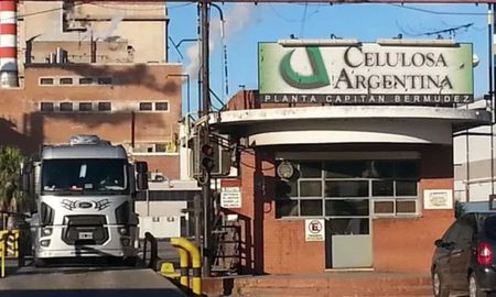 celulosa argentina tiene comprador: se informo ante la comision nacional de valores celulosa argentina tiene comprador: se informo ante la comision nacional de valores