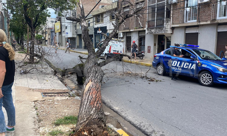 Este martes al mediodía un árbol de gran tamaño cayó sobre calle 9 de Julio e Hipolito Yrigoyen. Este martes al mediodía un árbol de gran tamaño cayó sobre calle 9 de Julio e Hipolito Yrigoyen.