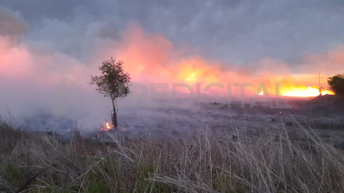 Los incendios forestales, un problema creciente en nuestra región, impactan de lleno en la calidad de los suelos.