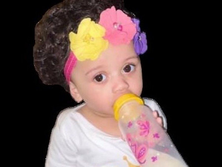 Beba se acercó al plato de comida de su perro pitbull y este la mató