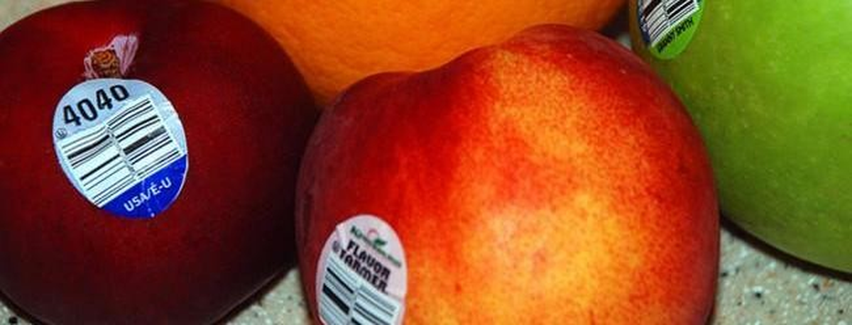 No existe ningún tipo de lógica a la hora de asignar los números a las frutas y verduras, sino que el proceso se hace completamente al azar.