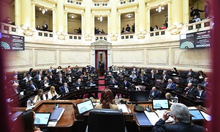 La iniciativa se aprobó con 38 votos afirmativas, cero negativos ni abstenciones. El kirchnerismo se levantó casi en su totalidad antes de la votación. La iniciativa se aprobó con 38 votos afirmativas, cero negativos ni abstenciones. El kirchnerismo se levantó casi en su totalidad antes de la votación.