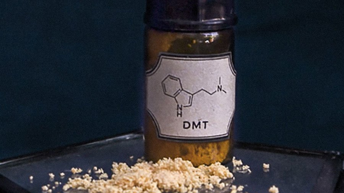 DMT y muerte: la sustancia química que explica por qué los segundos finales se sienten como una eternidad de paz. DMT y muerte: la sustancia química que explica por qué los segundos finales se sienten como una eternidad de paz.