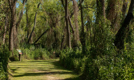 escapada a un oculto y maravilloso parque en entre rios, ideal para recorrer y descubrir en familia escapada a un oculto y maravilloso parque en entre rios, ideal para recorrer y descubrir en familia