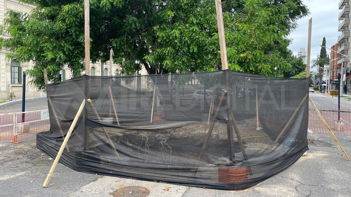  Los cortes y desvíos de colectivos en Bulevar y 9 de Julio se extenderán por dos semanas. Los cortes y desvíos de colectivos en Bulevar y 9 de Julio se extenderán por dos semanas.