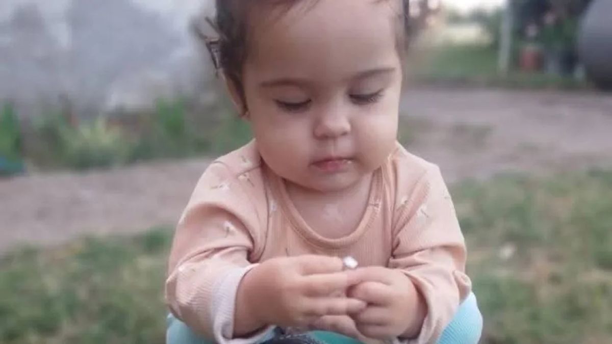 Temporal en Bahía Blanca: confirmaron que los restos biológicos hallados son de Delfina Hecker