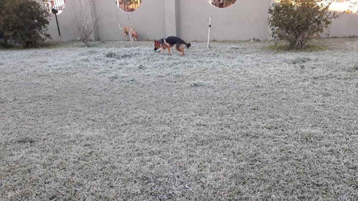 La helada de este martes en Sauce Viejo.